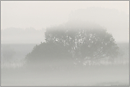 bei Tagesanbruch... Landschaft *im Nebel*