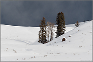 trügerisch... Wetterverhältnisse *Yellowstone Nationalpark*
