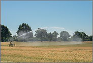 Bewässerung... Hochsommer *Nordrhein-Westfalen*, Regnerwagen wässert ein Getreidefeld