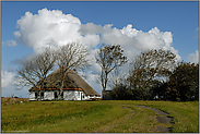 altes rietgedecktes Bauernhaus... Texel *Niederlande*