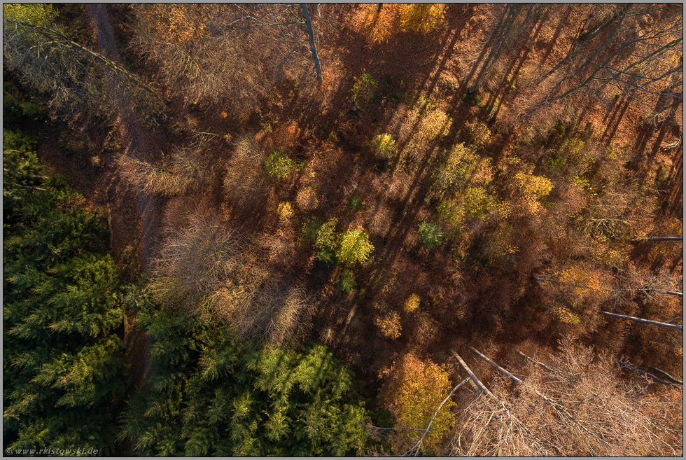 Licht und Schatten... Wald *Sauerland* aus der Vogelperspektive