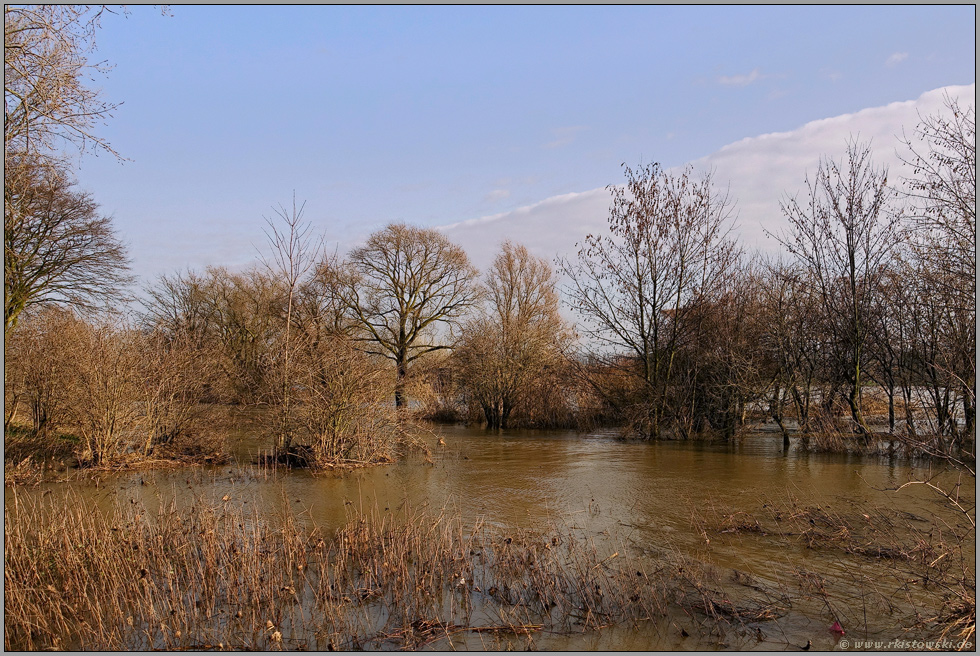 mittleres Hochwasser... Rhein *Nordrhein-Westfalen* auf der Höhe von Düsseldorf