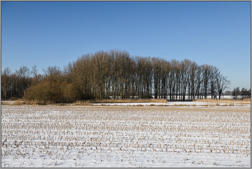 Blick auf den Meerbruch... Ilvericher Altrheinschlinge *Meerbusch*, Frauenbenden, verlandete Altstromrinne des Rheins bei Meerbusch Büderich