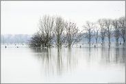 versunken... Hochwasser *Niederrhein*, überschwemmte Kulturlandschaft, Wiesen und Felder